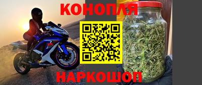 spice Гуково