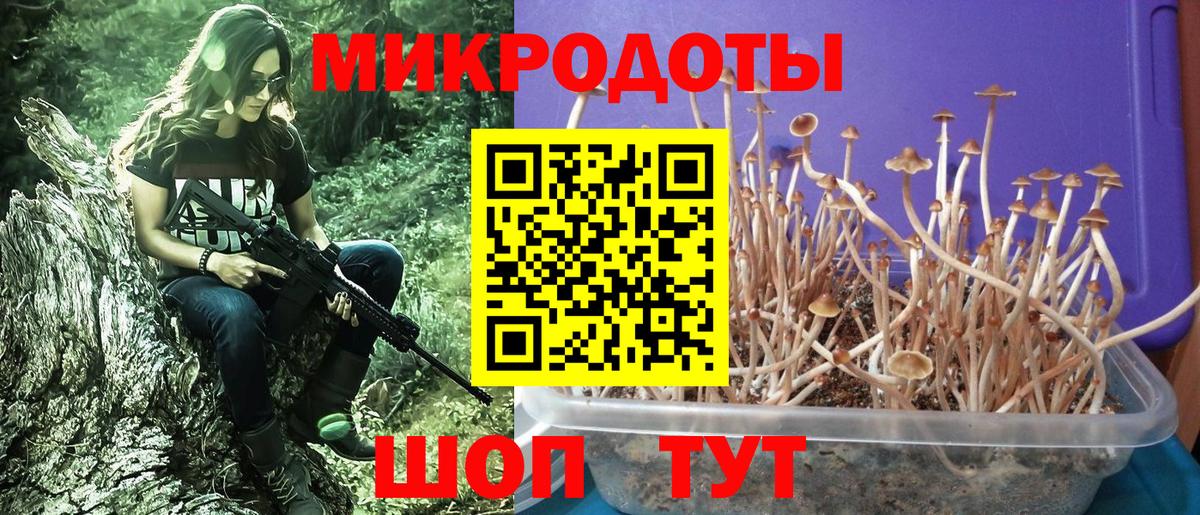 Барабинск  Псилоцибиновые грибы Magic Shrooms  Галлюциногенные грибы мухоморы  Вход с VPN 